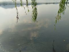 -家烧面馆【南山路知名经典面食】