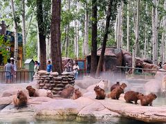 -北京野生动物园