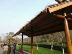 android_upload_pic-圩墩遗址公园