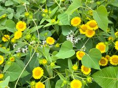 -天津东丽湖风景区