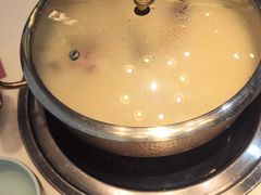 -洪氏嗨捞·猪肚鸡火锅(阳光天地店)