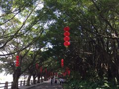 -大湾区中央湿地公园