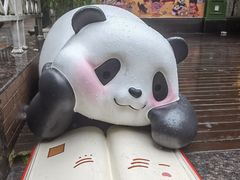 -轩客会(熊猫书店)