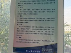 -首都医科大学附属北京地坛医院