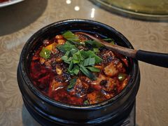 -陈麻婆豆腐(旗舰店)