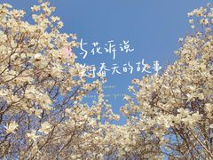 -睦南公园