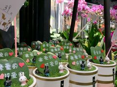 -豆豆花艺(新光天地店)