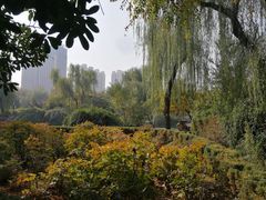 -西苑公园