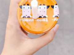 -一只酸奶牛(奎星楼店)