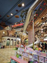 -卡通尼·Safari非洲探索乐园·生日会(金桥国际商业广场店)