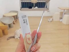 -有喵·猫咖·狗咖·30几只猫10只小狗(岗厦店)