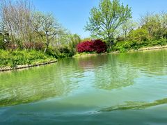 -西溪国家湿地公园