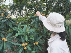 -长圻码头