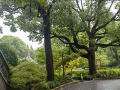 -申粤轩酒楼·三十年粤菜经典(丁香花园店)