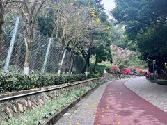 -狐尾山公园