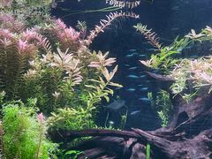 -上海海洋水族馆