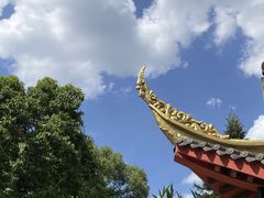 -梅州天地人花园酒店(梅县人民广场店)