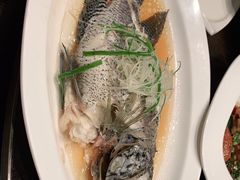 -上海世茂皇家艾美酒店