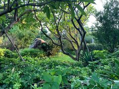 -斑斓西餐厅·自助茶点(高崎机场佰翔花园酒店)