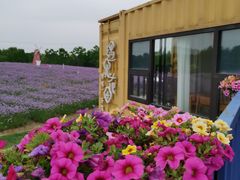 -同里国家湿地公园