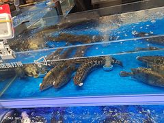 -盒马鲜生(西城时代店)