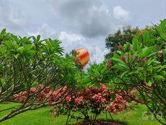 -中国科学院西双版纳热带植物园