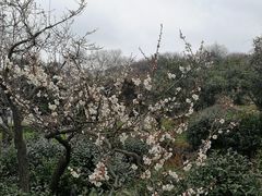 -缥缈峰景区