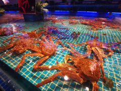 -驻海渔市(置信店)
