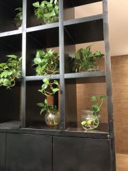 -东方麒麟·潘多拉SALON