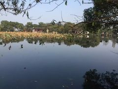 -西湖外事游船(花港观鱼码头)