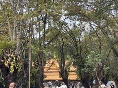 -西双版纳傣族园