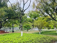 -范蠡湖公园