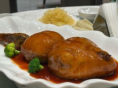 -丁老爷子苏香圆