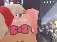 -line friends(明洞旗舰店)