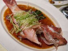 清蒸东星斑-富临饭店