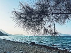 -鹿嘴山庄
