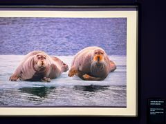 -罗红摄影艺术馆