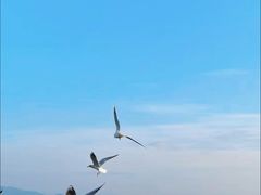 -深圳湾公园(南山区)