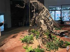 -自贡恐龙博物馆
