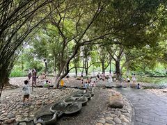 -成都市活水公园