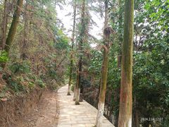 -云碧峰国家森林公园