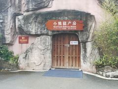 景点-成都大熊猫繁育研究基地