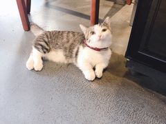 -IFIF 如果花園(宽厚里店)