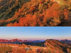 -沉浸北京·团建旅行·密室剧本杀·年会会议轰趴拓展