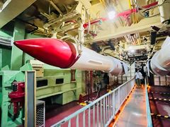 -泰达航母主题公园