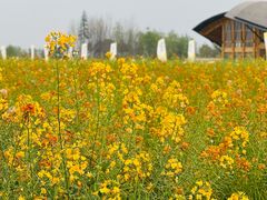 -中国天府农业博览园