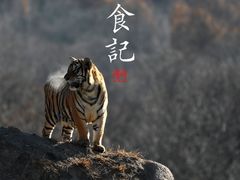 -横道河子东北虎林园