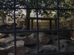 -费瑟代尔野生动物园