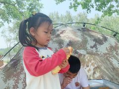 -东郊湿地公园