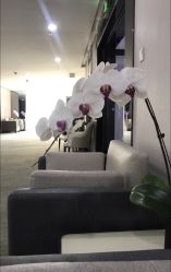 点击看大图 -北京炫美医疗美容
